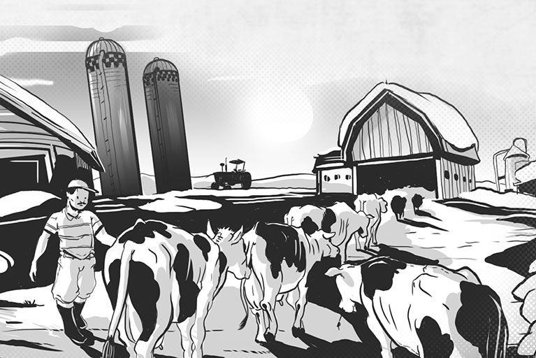 Cartoon of a Mexican man in rubber boots beside black-and-white cows going into a Vermont barn